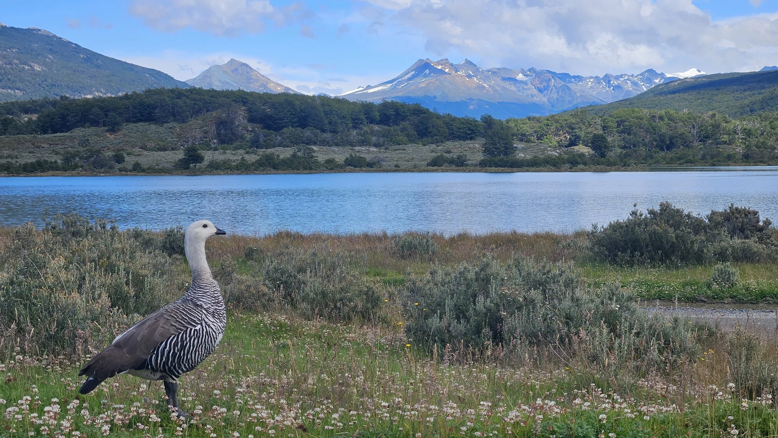 Parque Nacional Tierra del Fuego