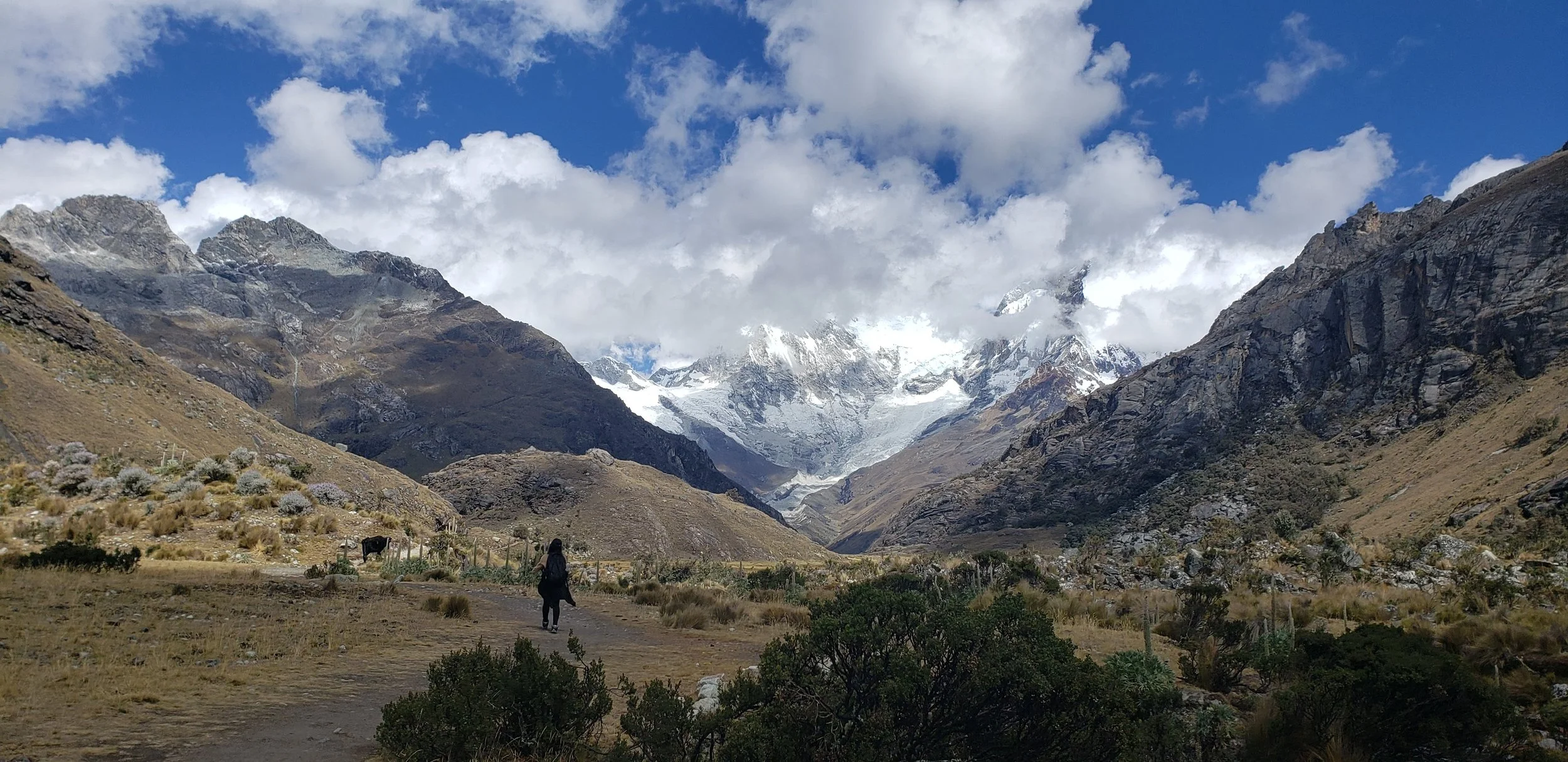 Laguna 69