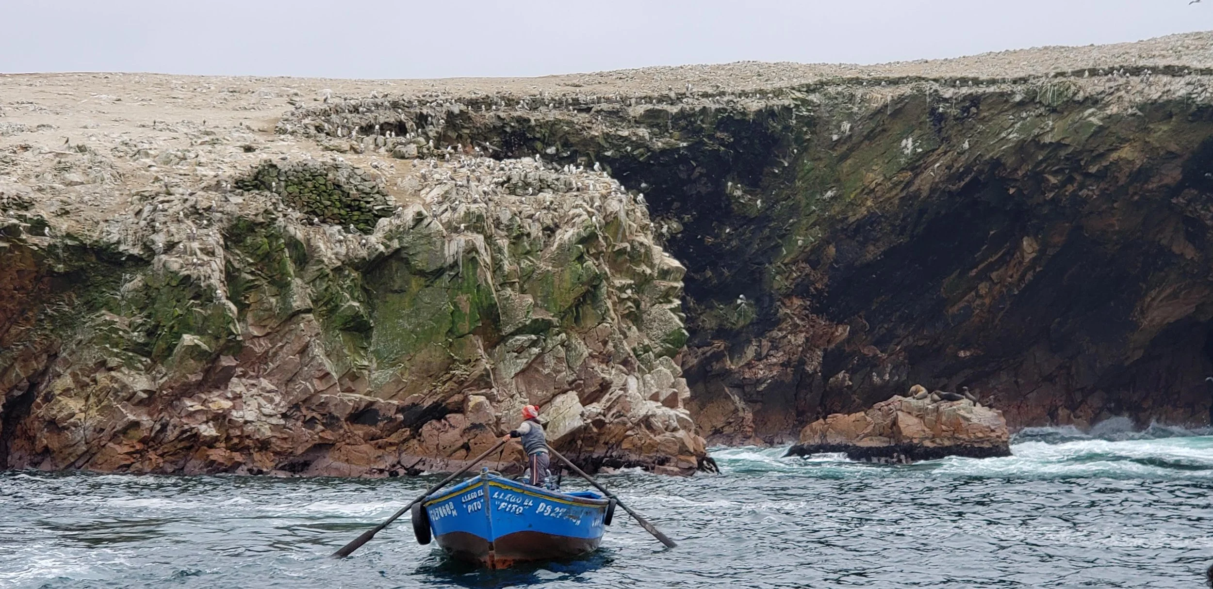 Reserva Nacional de Paracas