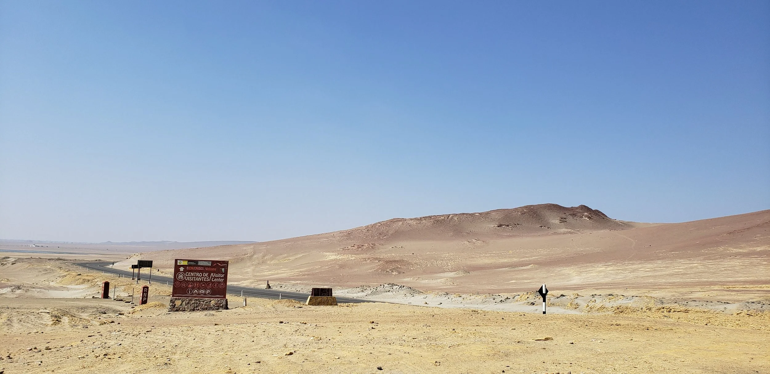 Reserva Nacional de Paracas